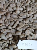 【クリックポスト】【コーヒー生豆（ご自身で煎る必要があります）】パプアニューギニア　ＡＡ　シグリ