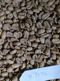 画像1: 【クリックポスト】【コーヒー生豆（ご自身で煎る必要があります）】デカフェ　スイスウォータープロセス　グァテマラ（カフェイン除去率９９％）