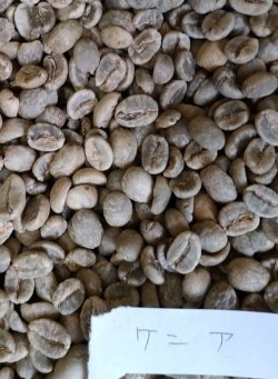 画像1: 【クリックポスト】【コーヒー生豆（ご自身で煎る必要があります）】ケニア　AA　FAQ