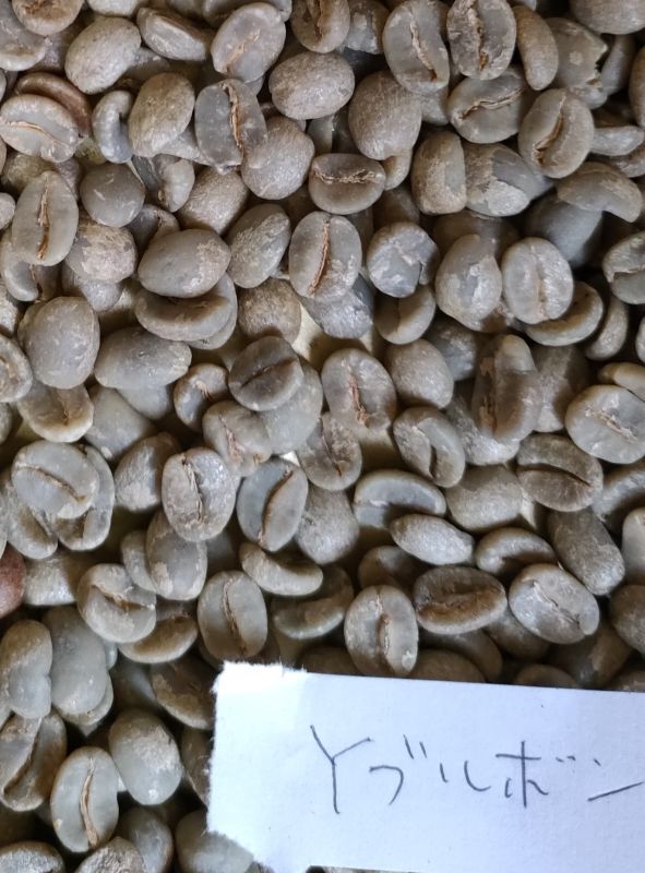【クリックポスト】【コーヒー生豆（ご自身で煎る必要があります）】ブラジル　ブルボンサントスYB　アルコイリス農園