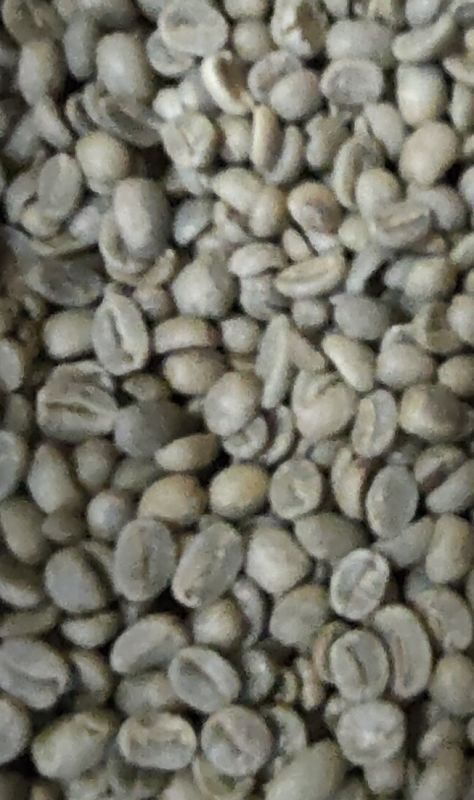 【クリックポスト】【コーヒー生豆（ご自身で煎る必要があります）】グァテマラ　SHB　クラシックマヤ