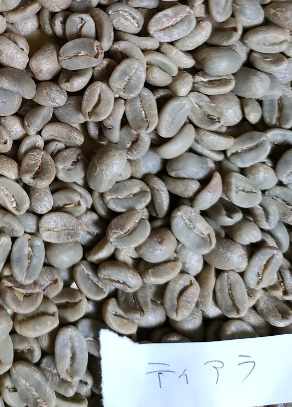 【クリックポスト】【コーヒー生豆（ご自身で煎る必要があります）】ペルー　ティアラ