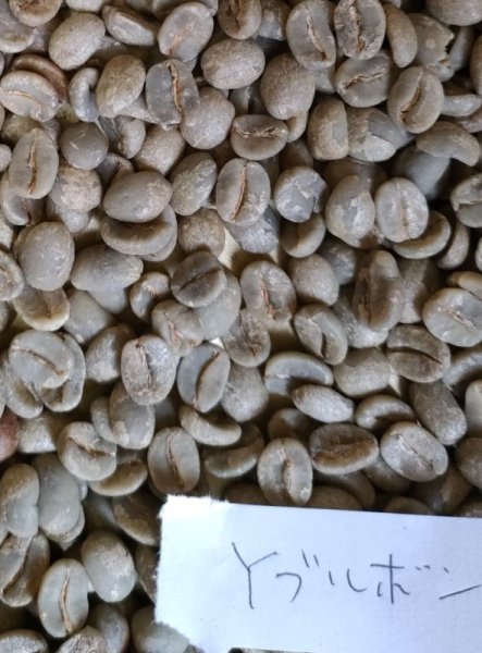 画像1: 【クリックポスト】【コーヒー生豆（ご自身で煎る必要があります）】ブラジル　ブルボンサントスYB　アルコイリス農園 (1)