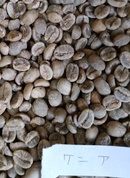 画像1: 【クリックポスト】【コーヒー生豆（ご自身で煎る必要があります）】ケニア　AA　FAQ (1)