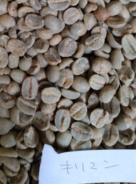 画像1: 【クリックポスト】【コーヒー生豆（ご自身で煎る必要があります）】　キリマンジャロ　AA ＦＡＱ (1)
